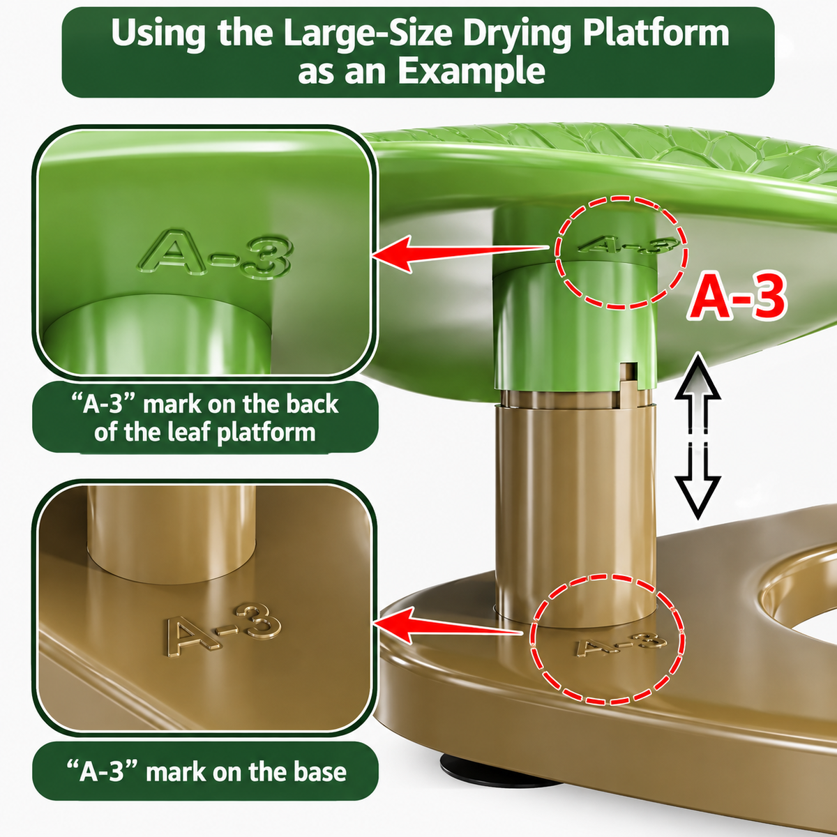 Multi-Functional Turtle Basking Platform Simulated Lotus Leaf Design