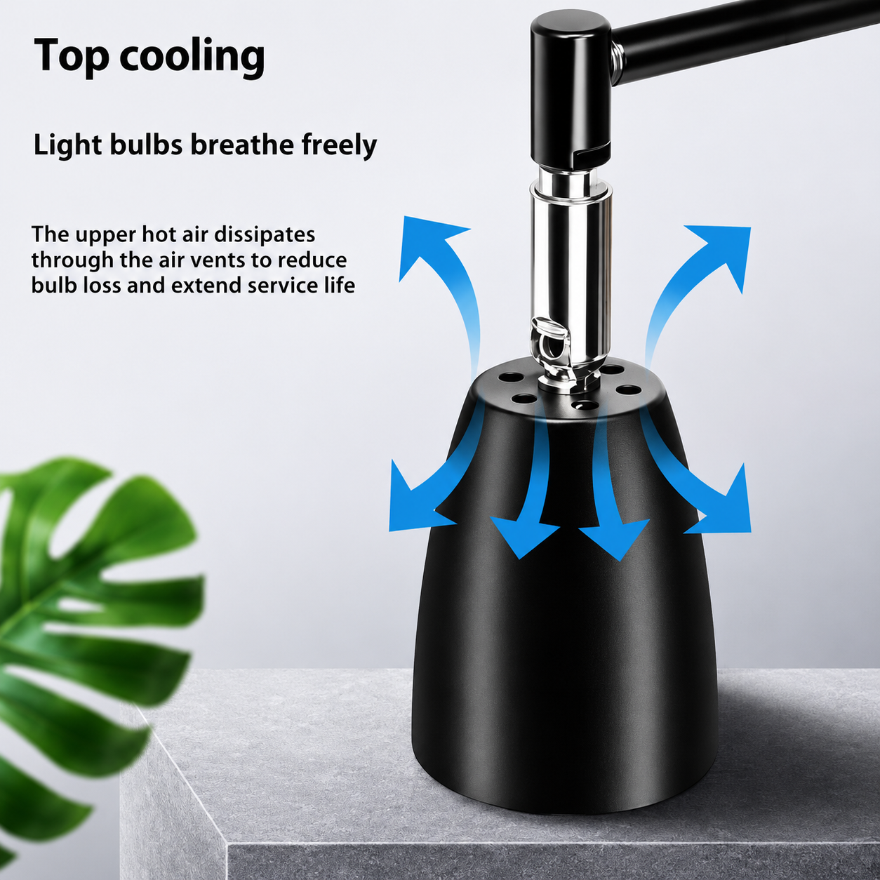 Dimmable Switch + TIMER 50W (FREE)E27 Turtle basking light