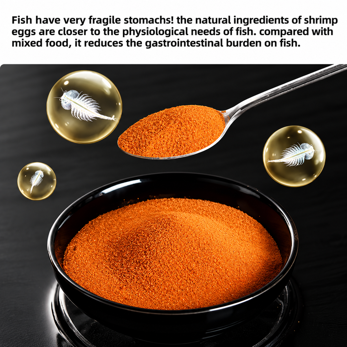 YEE Decapsulated Brine Shrimp Artemia (Instant Feed)-No Hatch Needed,High Protein First Food