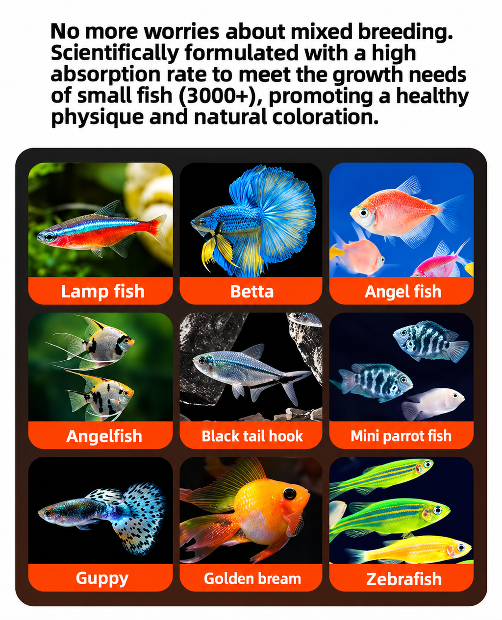 YEE Decapsulated Brine Shrimp Artemia (Instant Feed)-No Hatch Needed,High Protein First Food