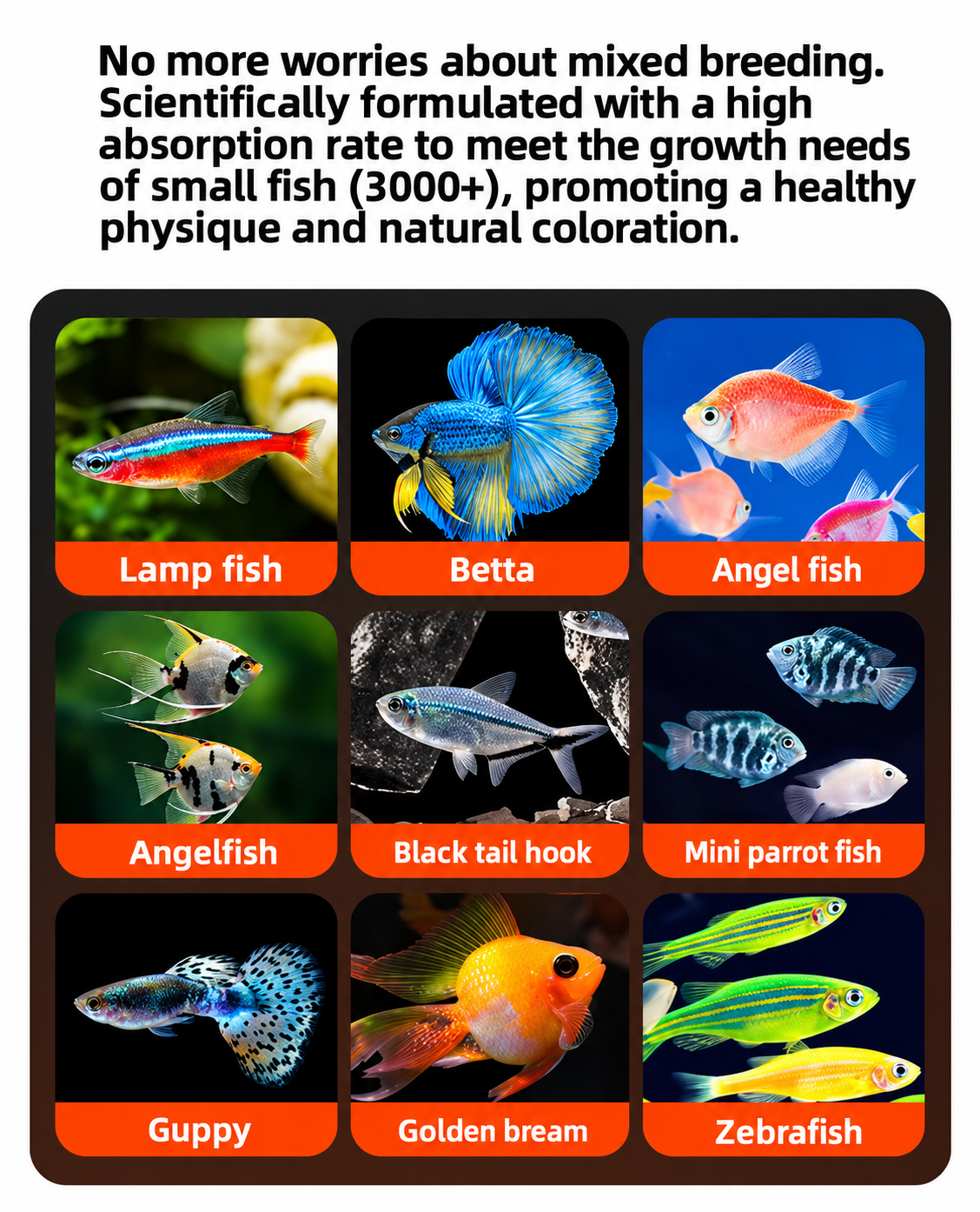 YEE Decapsulated Brine Shrimp Artemia (Instant Feed)-No Hatch Needed,High Protein First Food