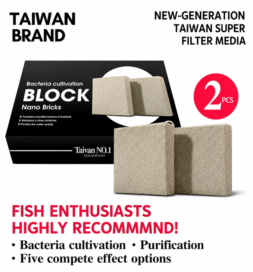 Bacteria Cultivation Nano Brick