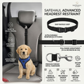 Safety Belt Adjustable Pet Harness