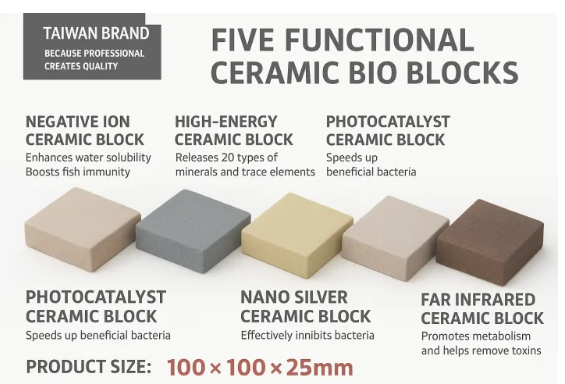 Bacteria Cultivation Nano Brick