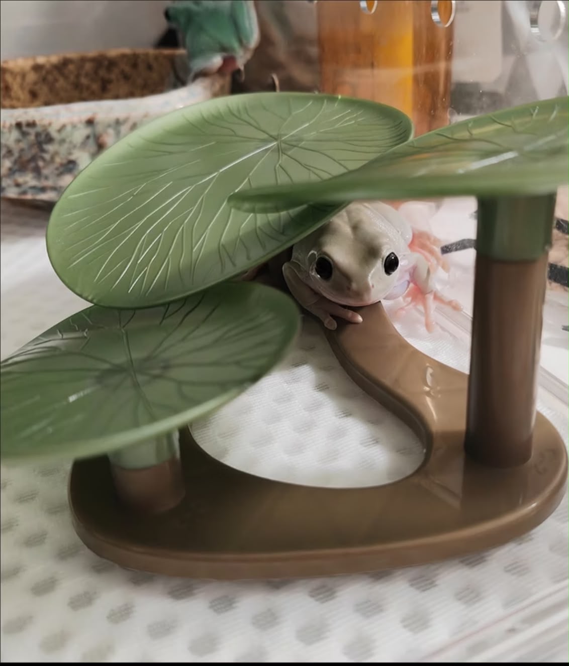 Multi-Functional Turtle Basking Platform Simulated Lotus Leaf Design