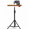 Parrot Perch Bird Stand Stand
