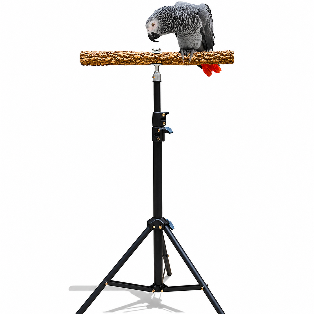 Parrot Perch Bird Stand Stand