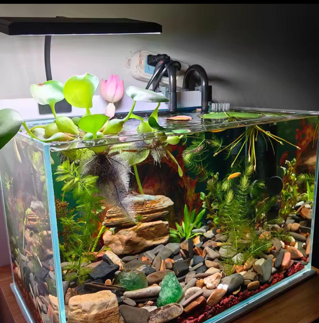 USB Aquarium LED 3 MODE Light Full Spectrum Aquatic Plant Grow Light