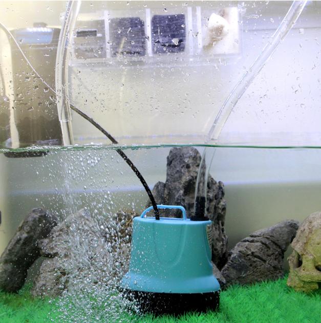 Water Pump With Bottom Suction Pump