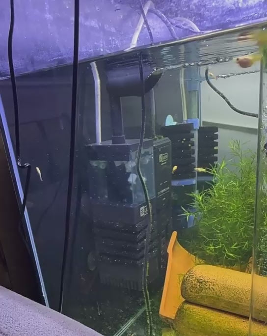 YEE Multi-Functional Pneumatic Aquatic Fish Habitat Filtration Unit