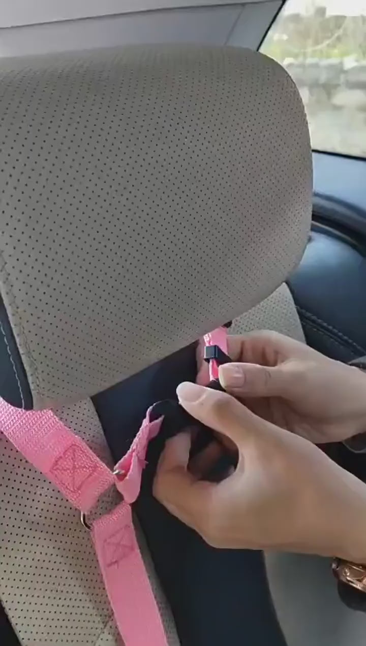 Safety Belt Adjustable Pet Harness
