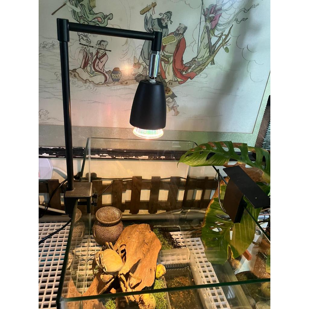 Dimmable Switch + TIMER 50W (FREE)E27 Turtle basking light