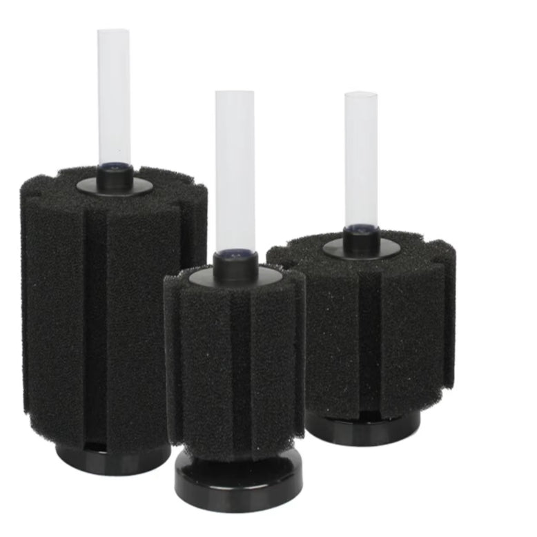 Bio Sponge