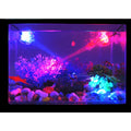 USB with REMOTE CONTROL of 7 Colours Light