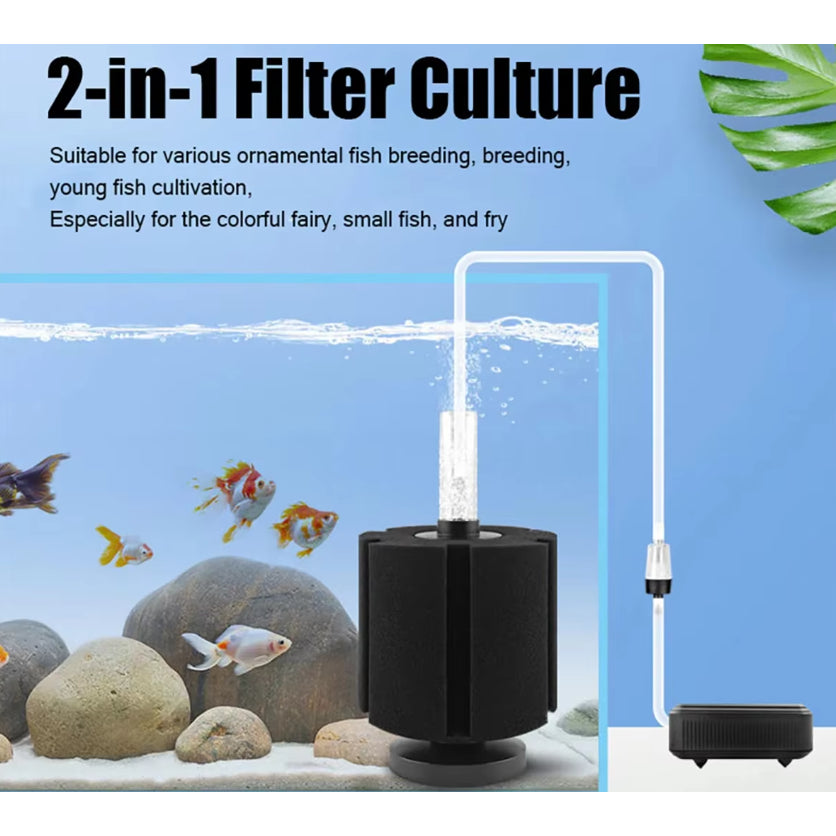 Bio Sponge