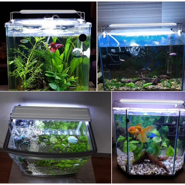3 MODE OF CHANGING LIGHT LED