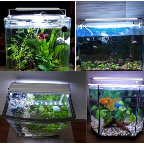 3 MODE OF CHANGING LIGHT LED