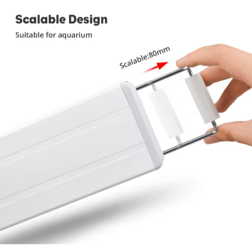 3 MODE OF CHANGING LIGHT LED